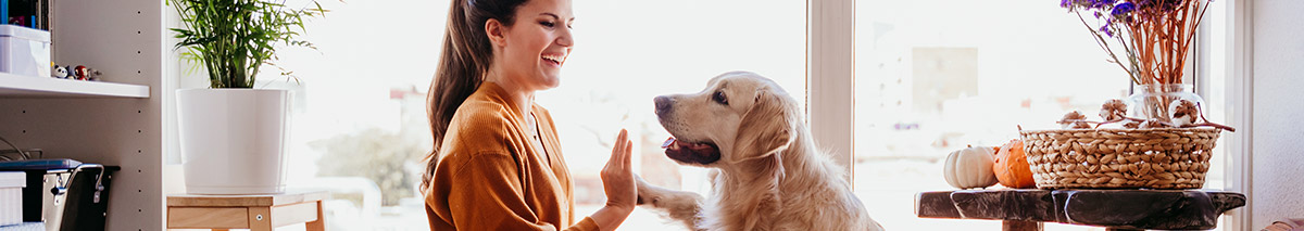 Cómo mantener a tu mascota protegida durante la pandemia