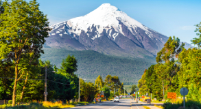 Seguros SOAPEX Online Argentina