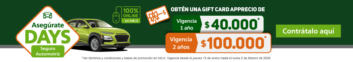 Bases de campaña Seguro Automotriz