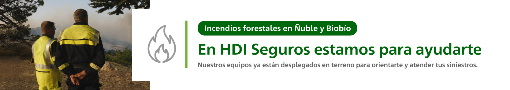 Incendios forestales en Ñuble y Biobío​