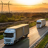 Detalle imagen Noticia