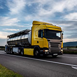 Detalle imagen Noticia