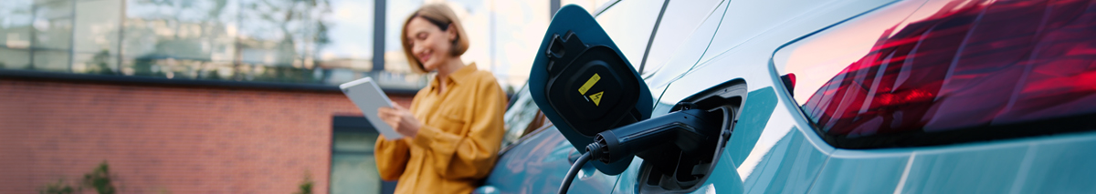 Seguro Automotriz
