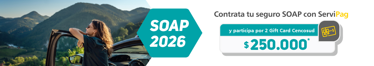 Bases de campaña